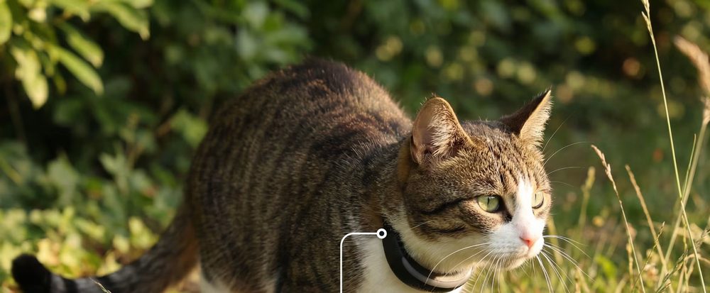 Tractive CAT Mini GPS-Tracker